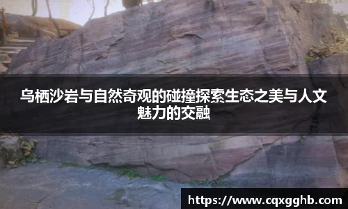 milan体育官网