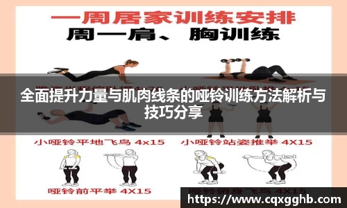 全面提升力量与肌肉线条的哑铃训练方法解析与技巧分享